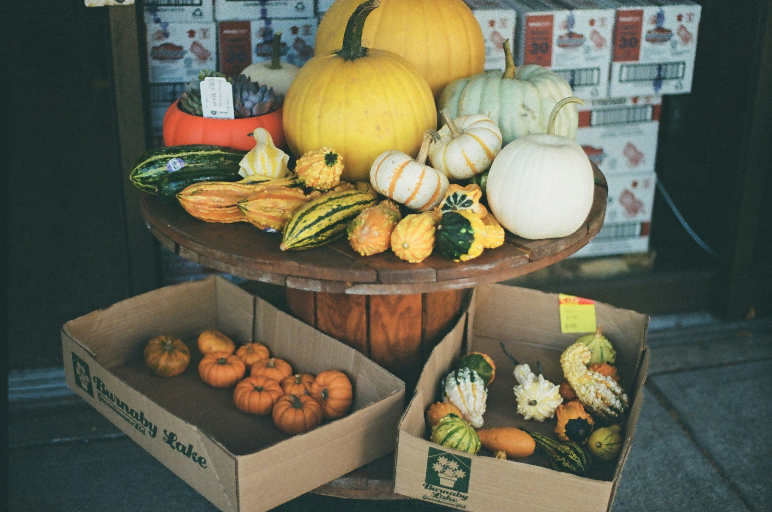 Harvest Box