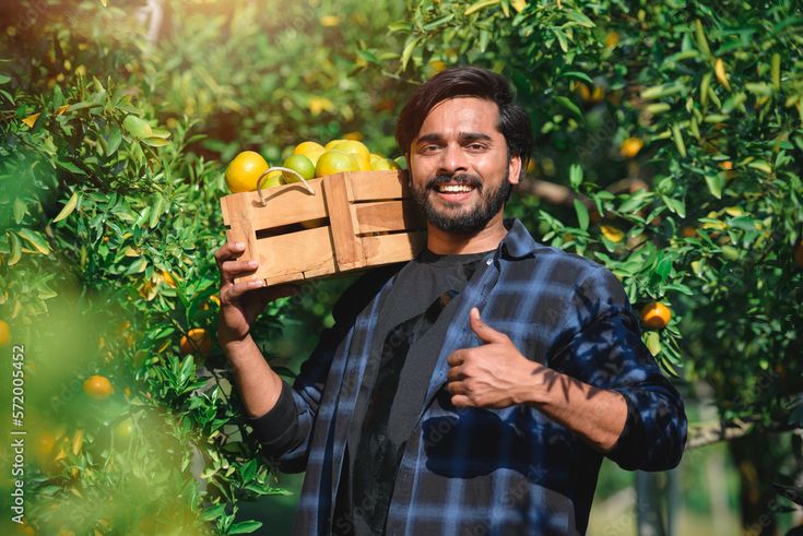 The Power of Seasonal Fruits: Freshness, Nutrition, and Sustainability from Maharshi Farms