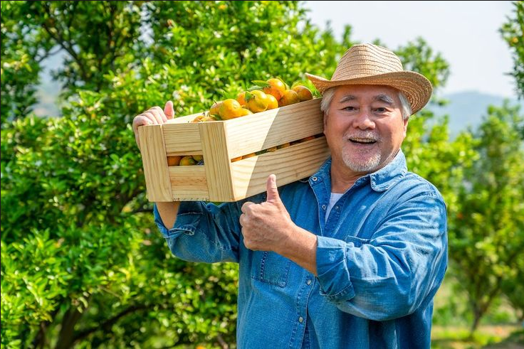 Boosting Gut Health Naturally: How produce from Maharshi Farms Help Your Microbiome Thrive